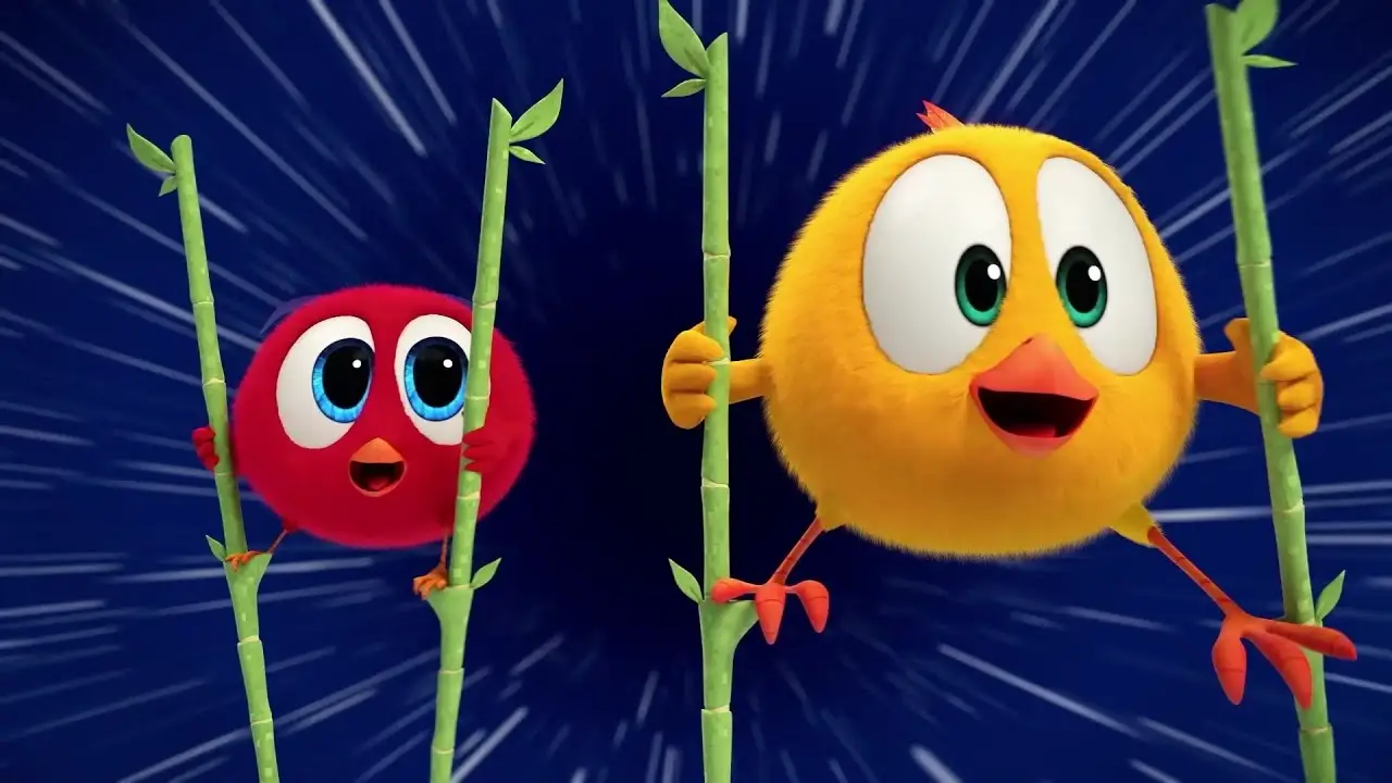 The Stilt Race! | Where's Chicky? | Cartoon Collection in English for Kids | New episodes