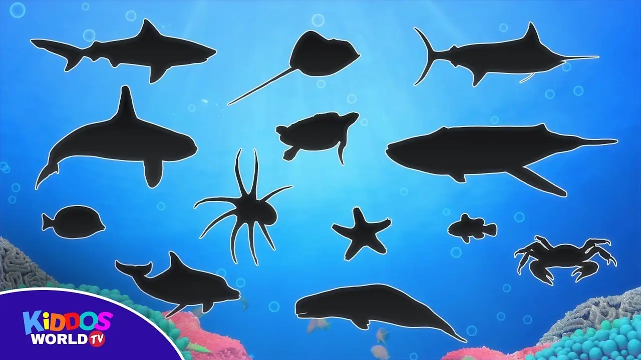 Learn Sea Animal Names - Ocean Animal Videos - Sea Animal Puzzle for Kids